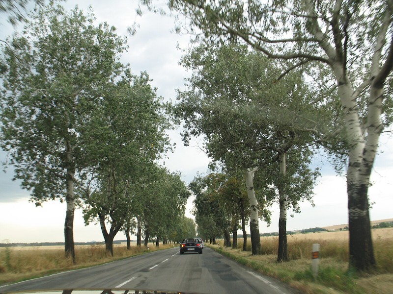 img00036.jpg