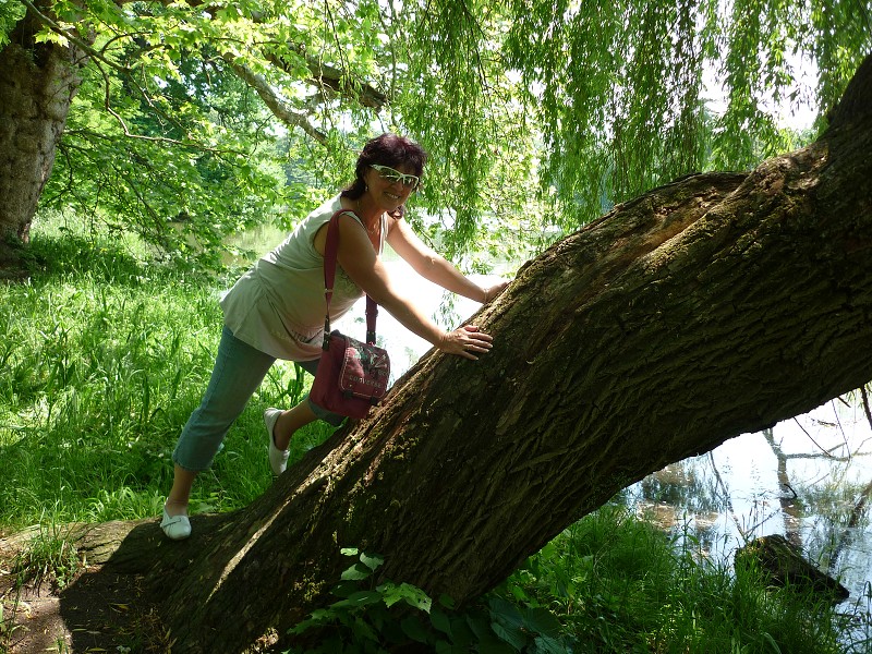 img00019.jpg