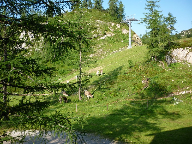 img00045.jpg